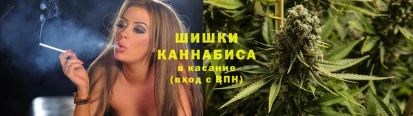 ешки Алзамай