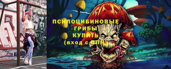 гидра Алексеевка