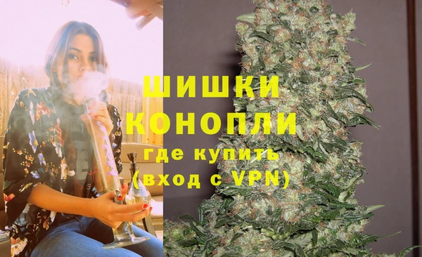 ешки Алзамай