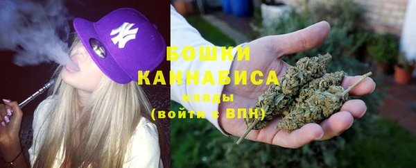 гидра Алексеевка