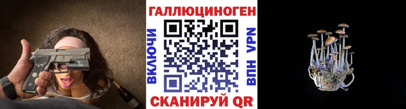 Галлюциногенные грибы Psilocybine cubensis  Урай 